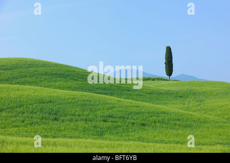 Pienza, in provincia di Siena e della Val d'Orcia, Toscana, Italia Foto Stock