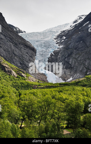 Il Ghiacciaio Briksdal, Jostedalsbreen National Park, Norvegia Foto Stock