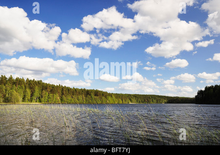 Lago e nuvole sopra Tiveden, Nord Vattern, Svezia Foto Stock