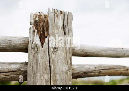 Close-up del palo da recinzione Foto Stock