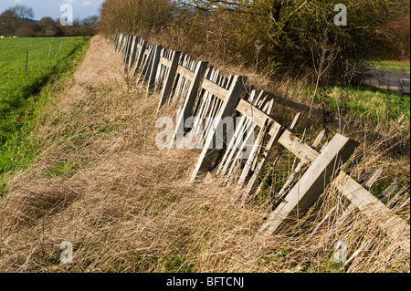 Un malsicuro staccionata in legno sul bordo della Shardeloes estate in Amersham Buckinghamshire REGNO UNITO Foto Stock