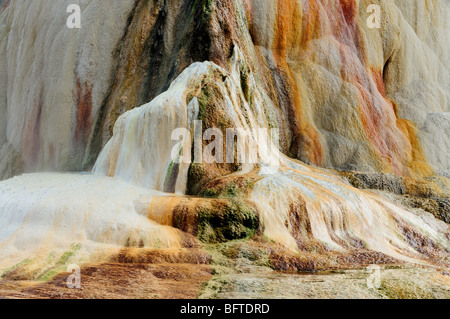 Formazioni di travertino che fluisce dalla molla di Orange Mound, il Parco Nazionale di Yellowstone, Wyoming USA Foto Stock