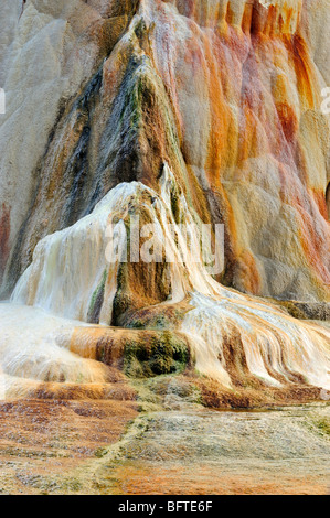 Formazioni di travertino che fluisce dalla molla di Orange Mound, il Parco Nazionale di Yellowstone, Wyoming USA Foto Stock