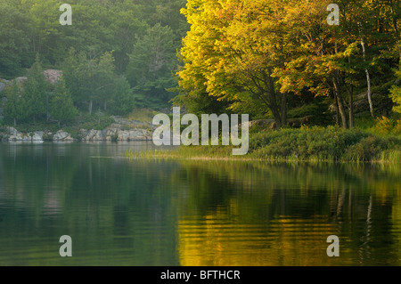 Luce della Sera su alberi di acero riflessa nel calmo lago George, Killarney Provincial Park, Ontario, Canada Foto Stock