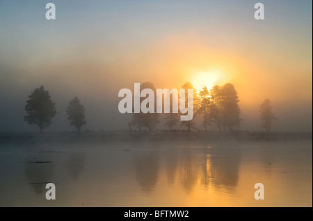 Alba sul fiume Yellowstone nel Hayden Valley, il Parco Nazionale di Yellowstone, Wyoming USA Foto Stock