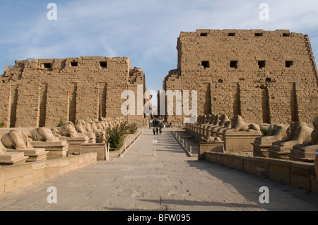 'Avenue di sfingi' e Tempio di Karnak nei pressi di Luxor ,l'Egitto. Foto Stock