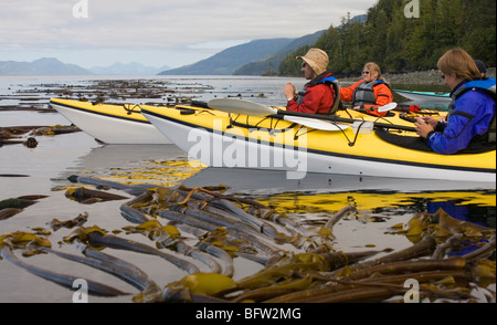 Kayakers guardando per le orche in Johnstone Strait Foto Stock