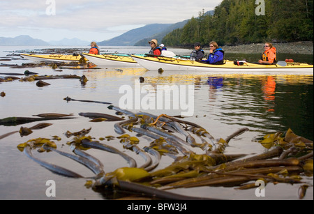 Kayakers guardando per le orche in Johnstone Strait Foto Stock