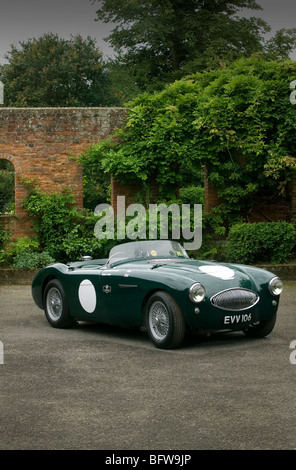 Austin Healey 100S sports racing car Foto Stock