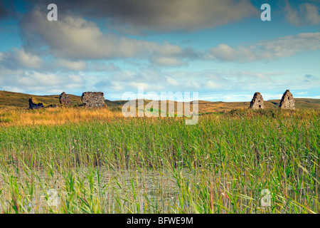 Rovine di Finlaggan, una volta che la sede dei Signori di isole. Islay, Scozia Foto Stock