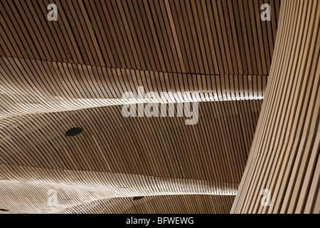 Close up della forma del soffitto al Senedd nella Baia di Cardiff Foto Stock