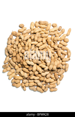 Le noccioline su sfondo bianco Foto Stock