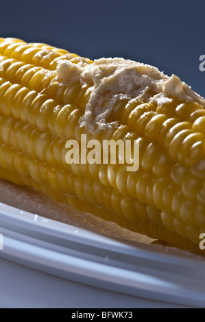 Sulla pannocchia di mais e burro la fusione sulla parte superiore Foto Stock
