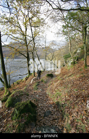 Area di Loch Lomond, Scozia. Vista autunnale del West Highland Way percorso dalle sponde del Loch Lomond, vicino Inversnaid. Foto Stock