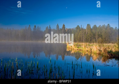 Le nebbie di mattina in beaver pond, maggiore Sudbury, Ontario, Canada Foto Stock