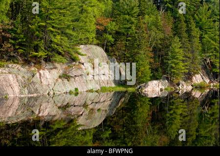 Affioramenti di roccia si riflette in beaverpond con pini bianco, Killarney, Ontario, Canada Foto Stock