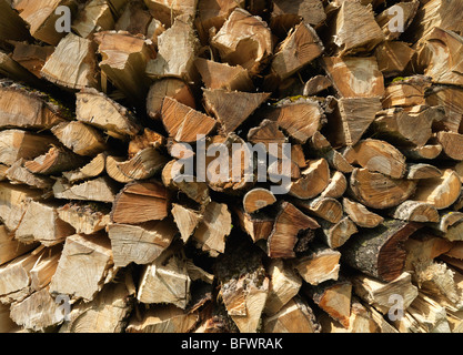 Pila di tronchi di legno Foto Stock