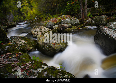 Glade Creek State Park West Virginia negli Stati Uniti d'America n. persone non nessuno isolato da sopra vista dall'alto overhead vicino fino angolo basso Foto Stock