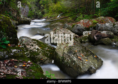 Il Glade Creek Babcock State Park West Virginia negli USA US immagini foto grandi ad alta risoluzione dall'alto orizzontali ad alta risoluzione Foto Stock