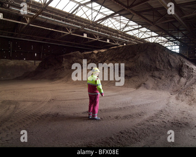 Il compost prodotto ad un Essent impianto di compostaggio, Maastricht, Paesi Bassi Foto Stock