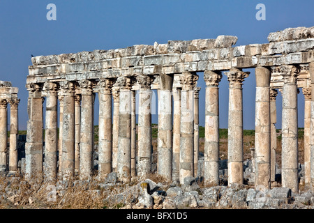 Pompeo realizzato Apamea (Apameia) o Afamia (arabo) parte dell'Impero Romano in Siria. Il cardo maximus street con colonne. E romano Foto Stock