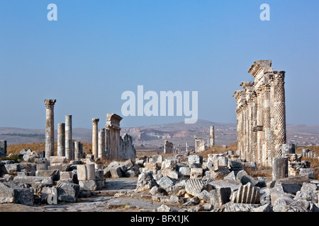 Pompeo realizzato Apamea (Apameia) o Afamia (arabo) parte dell'Impero Romano in Siria. Il cardo maximus street con colonne. E romano Foto Stock