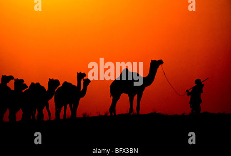 Un nomade herder muove i suoi cammelli attraverso il deserto durante il tramonto in Pushkar, India Foto Stock