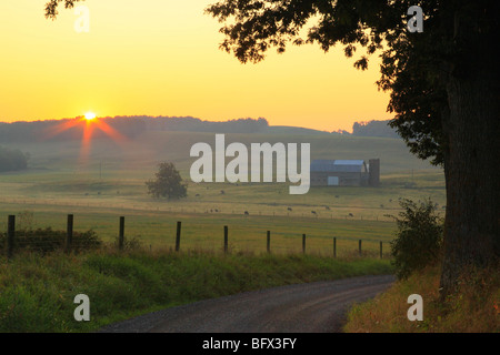 Country Road attraverso Swoope farmland, sunrise, Shenandoah Valley, Virginia Foto Stock