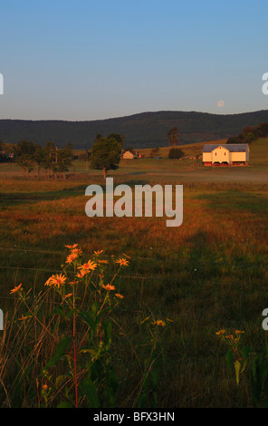 Sunrise e calare della luna sulla fattoria in Swoope, Shenandoah Valley, Virginia Foto Stock