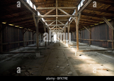 All'interno di una capanna / capannone di Birkenau (Auschwitz II - Birkenau) nazista di morte nel campo di Oswiecim, Polonia. Foto Stock