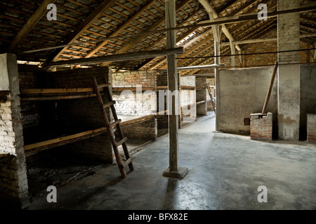 Di cuccette per i prigionieri all'interno di una capanna (numero 3)/ capannone di Birkenau (Auschwitz II - Birkenau) nazista di morte nel campo di Oswiecim, Polonia. Foto Stock