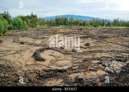 Kings trail, Waikoloa Beach Petroglyph trail, Sud Kohala, la Big Island delle Hawaii Foto Stock