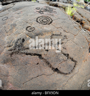 Kings trail, Waikoloa Beach Petroglyph trail, Sud Kohala, la Big Island delle Hawaii Foto Stock