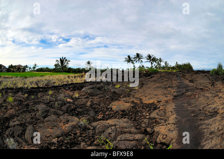 Kings trail, Waikoloa Beach Petroglyph trail, Sud Kohala, la Big Island delle Hawaii Foto Stock