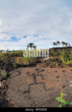 Kings trail, Waikoloa Beach Petroglyph trail, Sud Kohala, la Big Island delle Hawaii Foto Stock