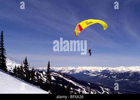 Whistler, BC, British Columbia, Canada - Parapendio volare in parapendio soddisfare sul Monte Blackcomb, Coast Mountains, inverno Foto Stock