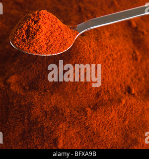 Pila di curry in polvere e il cucchiaio Foto Stock