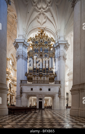 Interno con organo, Cattedrale di Granada, Granada, Andalusia, Spagna Foto Stock