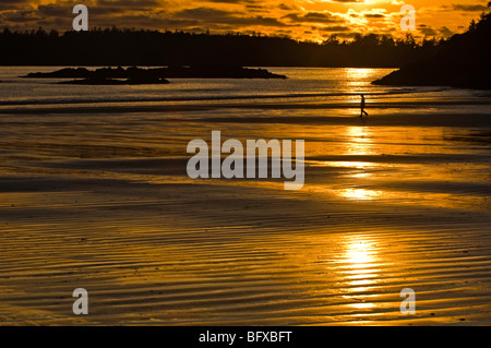 Le figure umane camminando sulla spiaggia di MacKenzie a bassa marea vicino al tramonto, Tofino, BC British Columbia, Canada Foto Stock