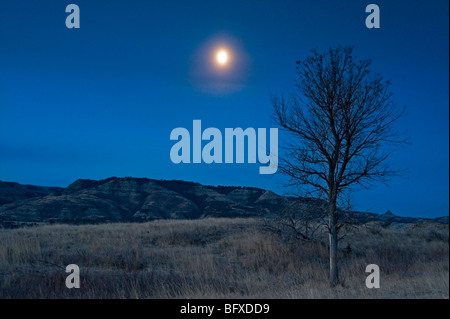 Impostazione luna su albero solitario nella prateria/badlands paesaggio, Parco nazionale Theodore Roosevelt, unità del Nord, il Dakota del Nord, STATI UNITI D'AMERICA Foto Stock