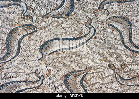 Il mosaico dei delfini a casa di Orfeo in rovine Romane di Volubilis Marocco Foto Stock