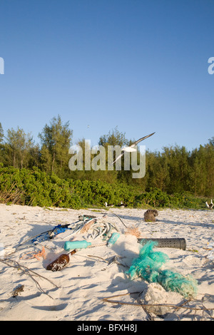 Laysan Albatross sul suo modo di alimentazione nell'oceano, volando sui detriti marini si è incagliata sulla spiaggia di un Nord isola del Pacifico Foto Stock