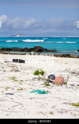 Detriti marini lavati a terra su un'isola del Pacifico settentrionale Foto Stock