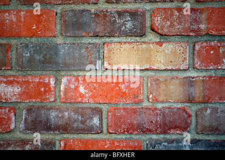 Muro di mattoni rosso. Foto Stock