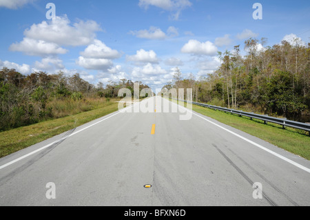 Strada in Everglades National Park, Florida USA Foto Stock