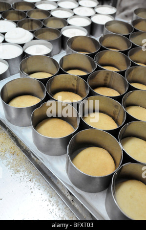 Panificio industriale un biscotto di linea di produzione Foto Stock