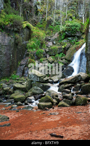 Cascata come l'Iva masterizzare entra nel masterizzare o' camera IVA vicino a Ballater, Aberdeenshire, Scotland, Regno Unito. Foto Stock