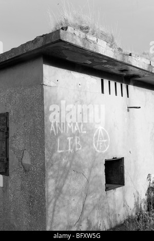 Animale Lib graffiti sul vecchio edificio militare, Isola Cramond Foto Stock