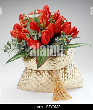 Tulipani rossi Foto Stock