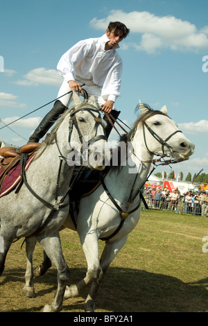 Un atletico horseman visualizza equilibrio e spettacolo sulla cima di due grigi in un display equestre in una fiera agricola a Auch Foto Stock